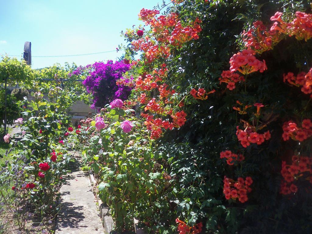 Fuente El Hayedo Hotel San Vicente De La Barquera Luaran gambar